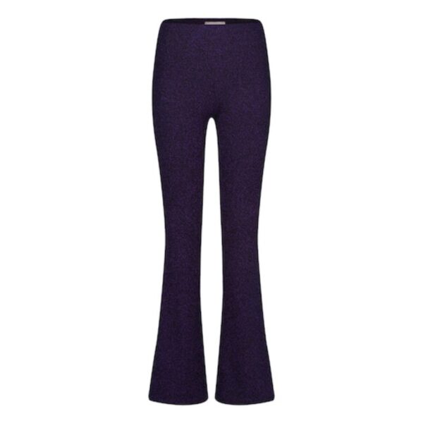 Freebird-Ico_winter-2023_1612_Baely Jer-Pes-Lurex-23-4 Freebird Broek Baely Paars