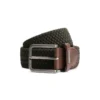 Dstrezzed Riem 651238 Groen