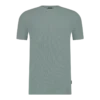 Saint Steve T-Shirt 221146 Silver Green
