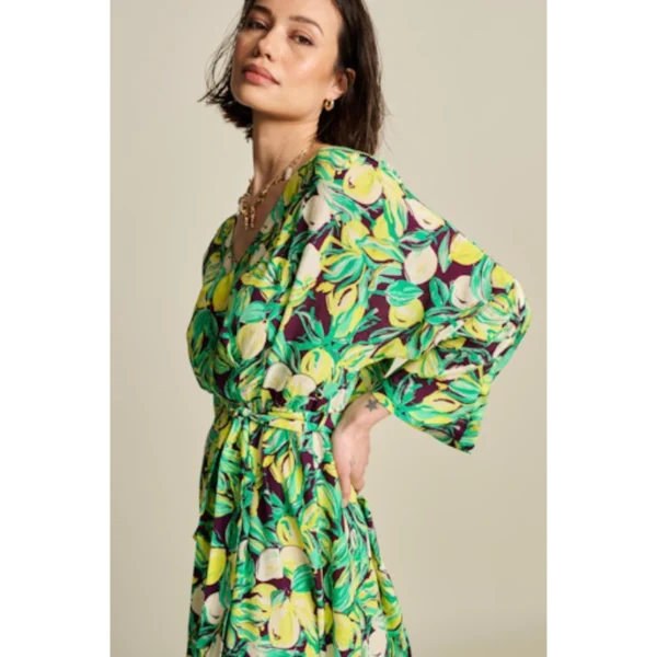 POM Amsterdam Jurk sp7806 Multi colour