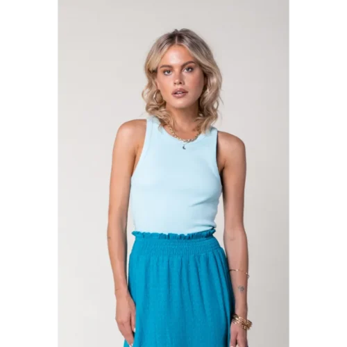 Colourful Rebel Top WT215727 Blauw