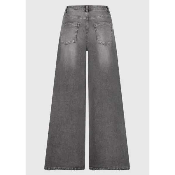 Circle of Trust Jeans Harley W24_55_ Grijs