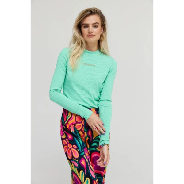 Harper&Yve Top Jane AW24P500 Groen