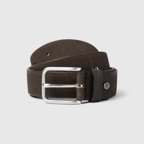 Vanguard Riem VBE2408920 Bruin