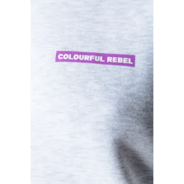 WH116124-213-Lightgreymelange-21337 Colourful Rebel Sweater WH116124 Grijs