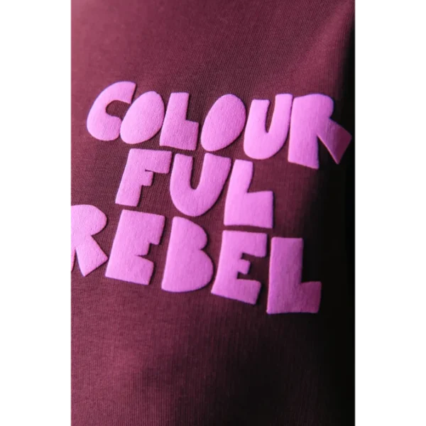 WS416243-645-PortRed-21315 Colourful Rebel Sweat Logo Wave WS416243 Rood