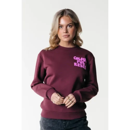 WS416243-645-PortRed-21451 Colourful Rebel Sweat Logo Wave WS416243 Rood