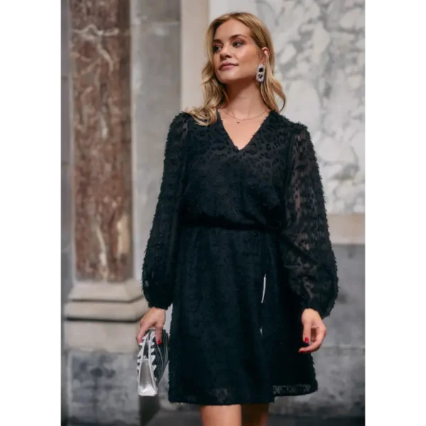 Dion-Dress-Black2 Freebird Jurk Dion Zwart