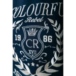 Colourful Rebel Sweater WS416792 Navy