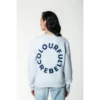 Colourful Rebel Sweater ws416597 Light Grey