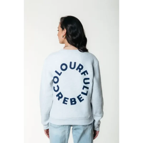 Colourful Rebel Sweater ws416597 Light Grey