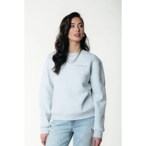 Colourful-Re_SpringSummer-2025_213_WS416597_2 Colourful Rebel Sweater ws416597 Light Grey