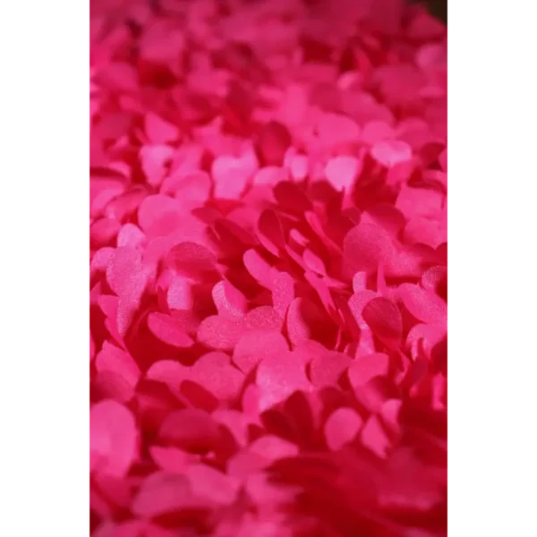 Lofty Manner Top Alexa qe204 Roze