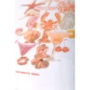 Colourful Rebel T-Shirt Beach Loosefit wt116875 White