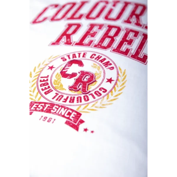 Colourful Rebel T-shirt Varsity Loosefit wt116876 White