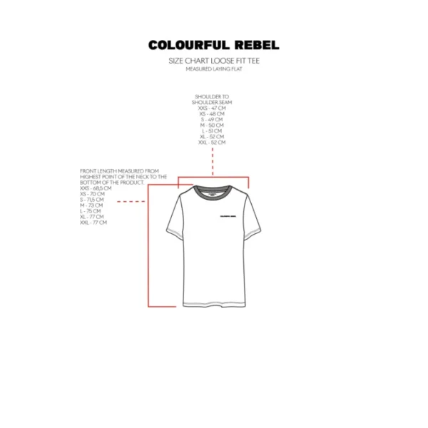 Colourful Rebel T-shirt Varsity Loosefit wt116876 White