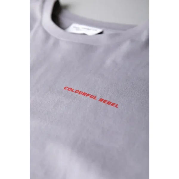 Colourful Rebel T-shirt Tropical Beach Tour wt116891 Grijs