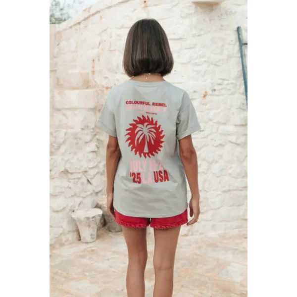 Colourful Rebel T-shirt Tropical Beach Tour wt116891 Grijs