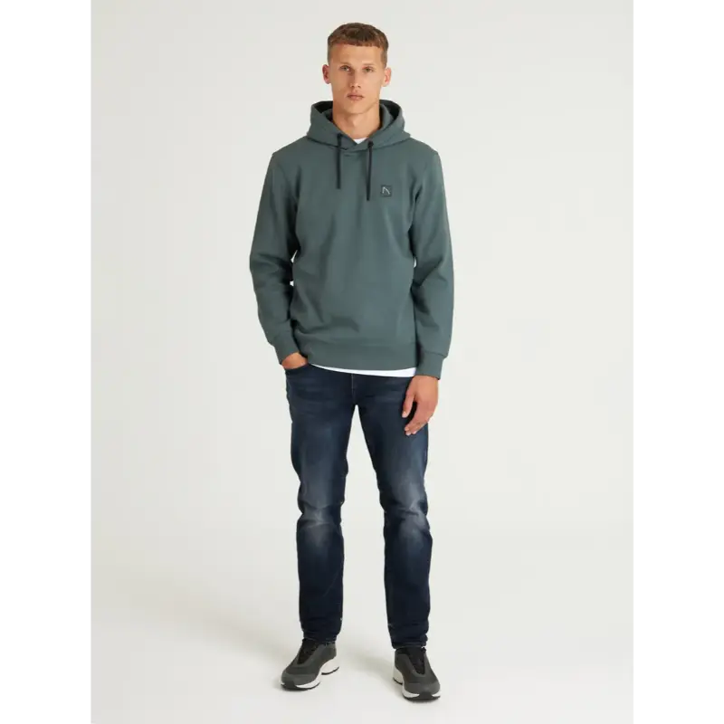 CHASIN Sweater 41130001 e53 Groen