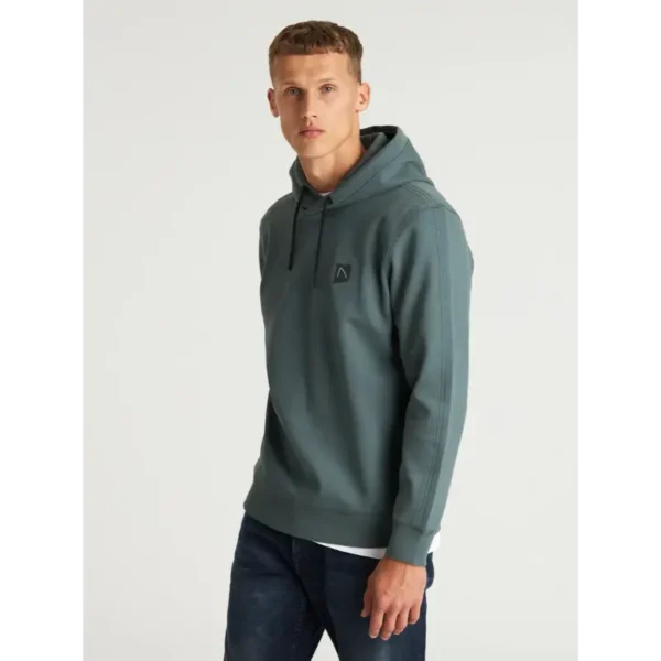 CHASIN Sweater 41130001 e53 Groen