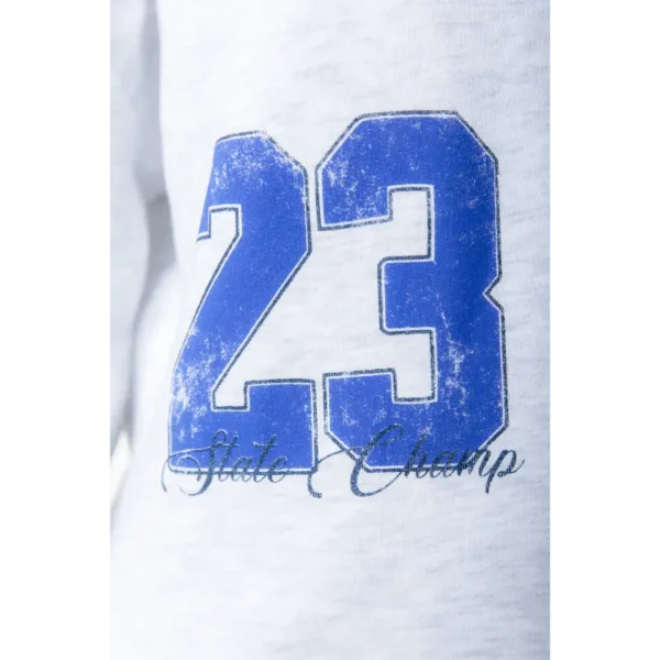 WS417076-213-15-59 Colourful Rebel Sweater State Champ ws417076 213 Light Grey