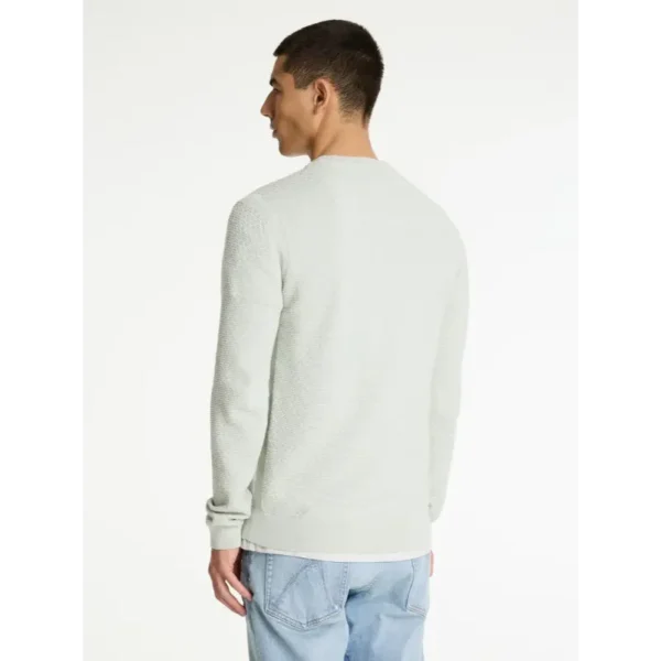 31110004-E51_chasin_back_1 CHASIN Trui Rico 31110004 e51 Licht Groen