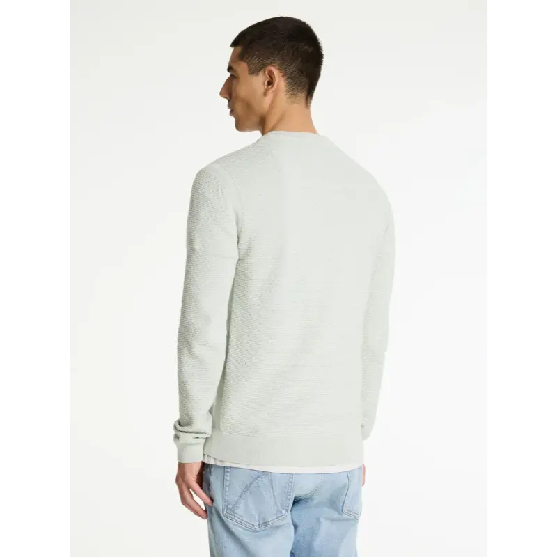 31110004-E51_chasin_back_1 CHASIN Trui Rico 31110004 e51 Licht Groen