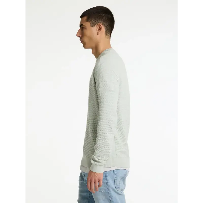 31110004-E51_chasin_side_1 CHASIN Trui Rico 31110004 e51 Licht Groen