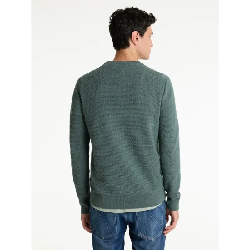 CHASIN Trui Rico 31110004 e53 Groen