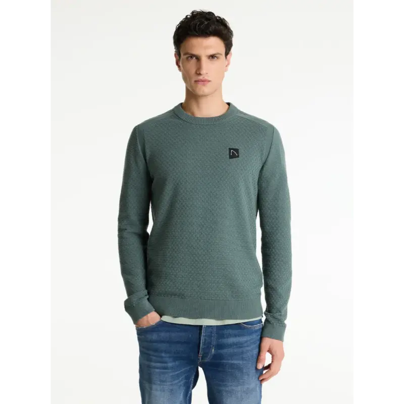 CHASIN Trui Rico 31110004 e53 Groen