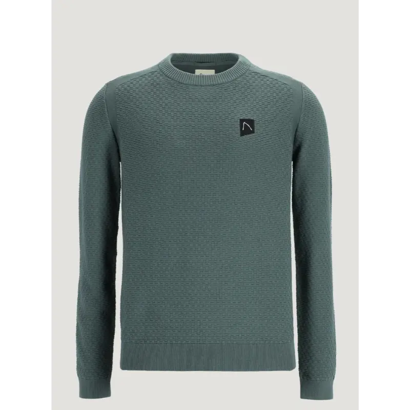 CHASIN Trui Rico 31110004 e53 Groen