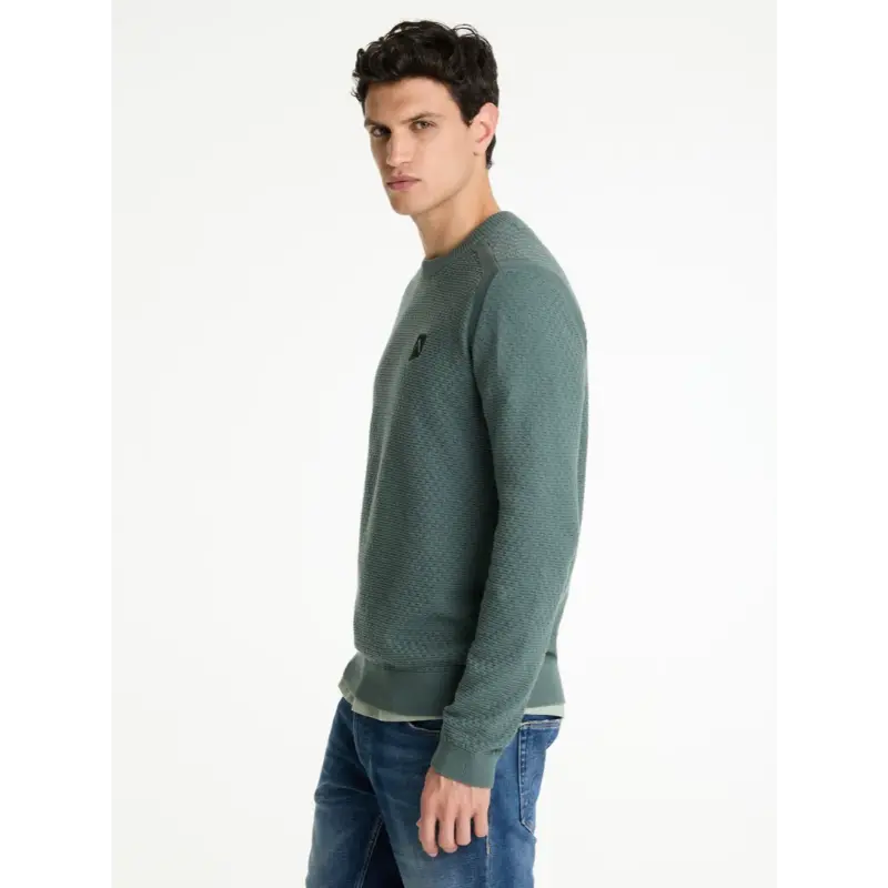 CHASIN Trui Rico 31110004 e53 Groen