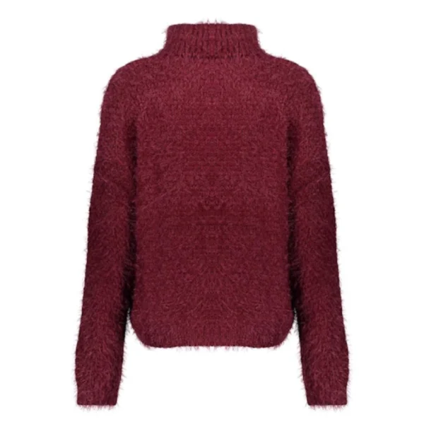 Geisha-Fashi_winter-2025_480_54515-10_4 Geisha Trui 54515-10 Burgundy