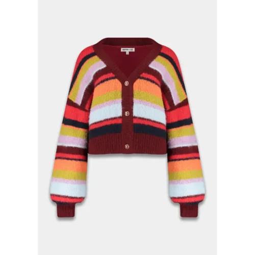 Harper&Yve Blouse AW25W800 Noor 1255 Stripe Multicolour