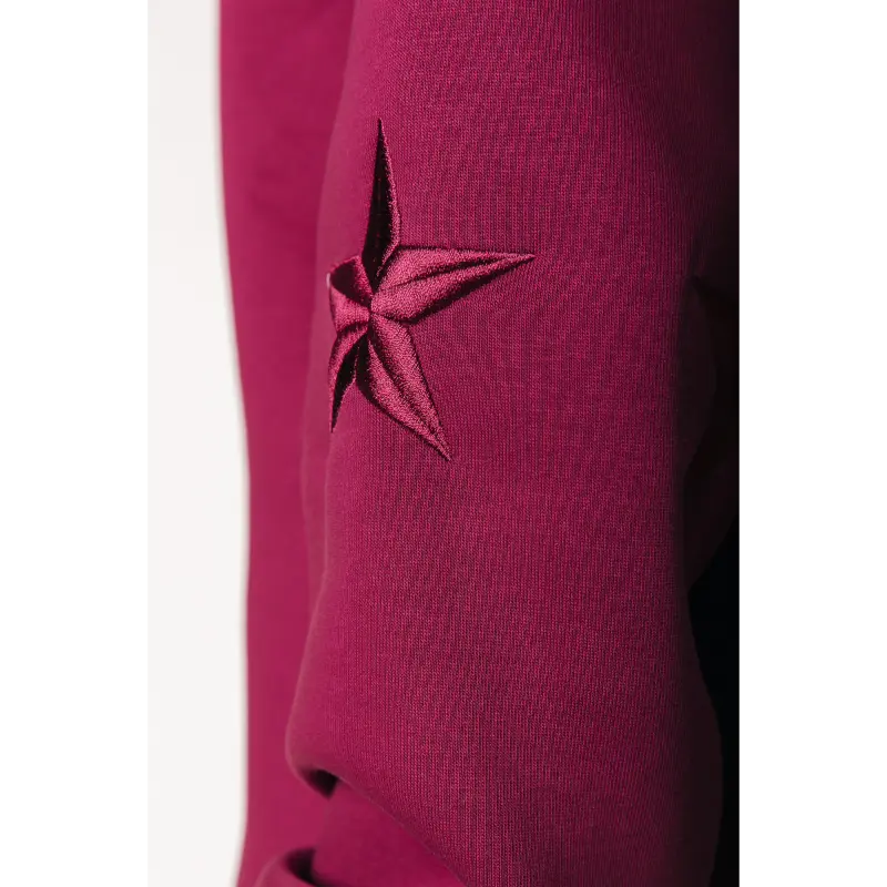 Colourful Rebel Sweater WH117092 609 Bordeaux