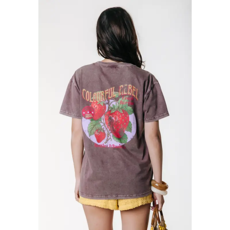 Colourful-Re_High-Summer-2026_767_WT117803 Colourful Rebel T-Shirt WT117803 767 Warm Brown
