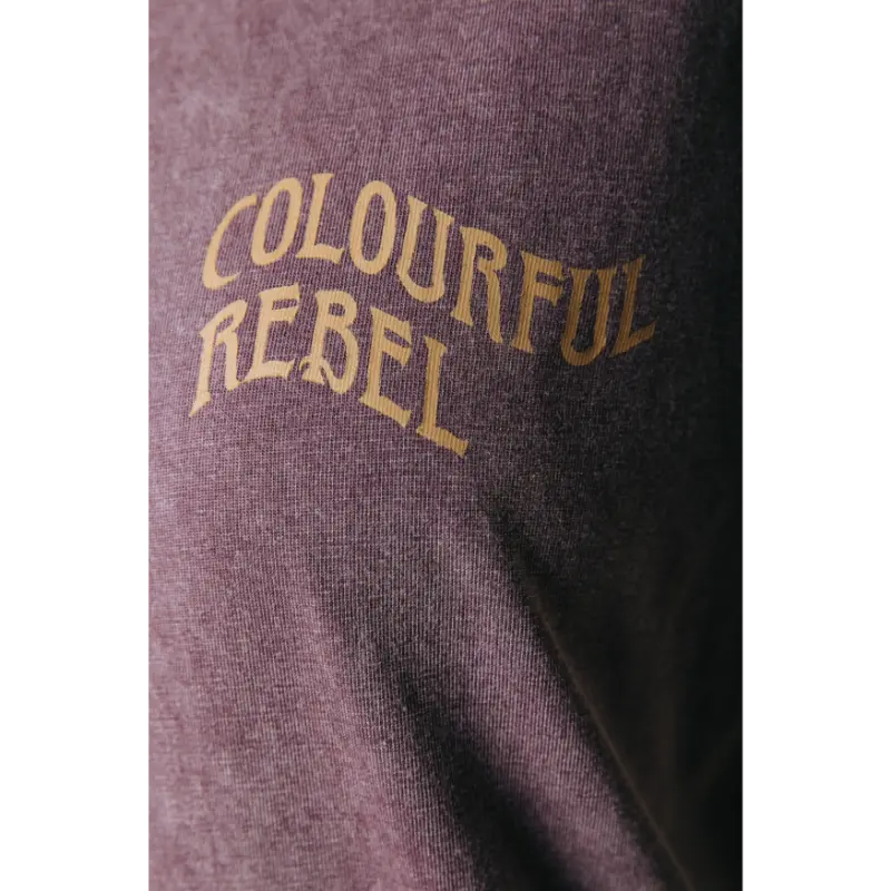 Colourful-Re_High-Summer-2026_767_WT117803_5 Colourful Rebel T-Shirt WT117803 767 Warm Brown