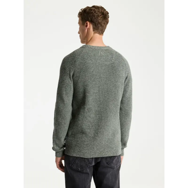31110016 groen e50113 CHASIN Trui 31110016 Groen E5011