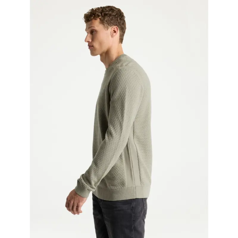 31110027 groen e50112 CHASIN Trui 31110027 Groen E5011
